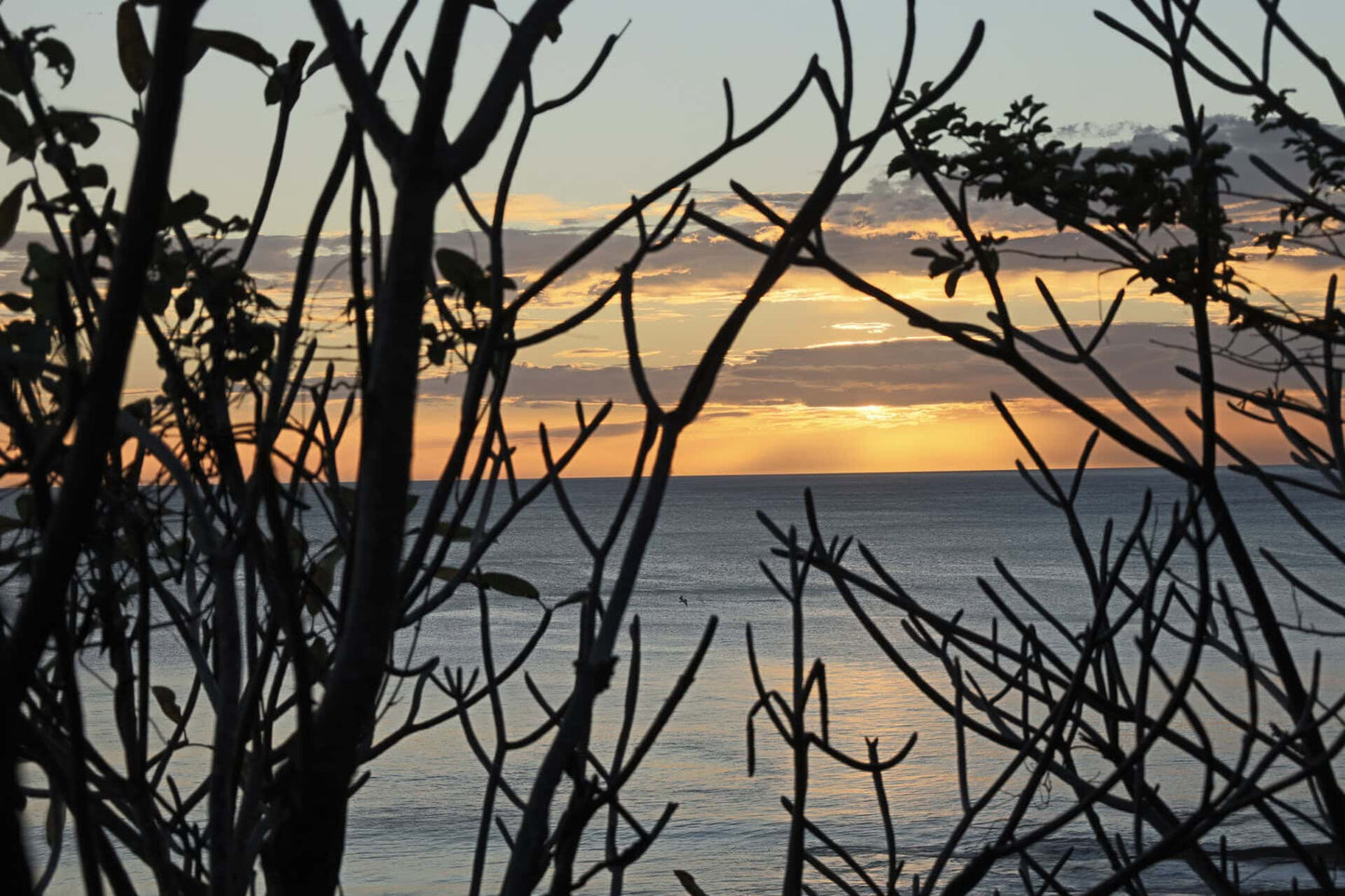 La Delfin – Private Cliffside Ocean View Cabin