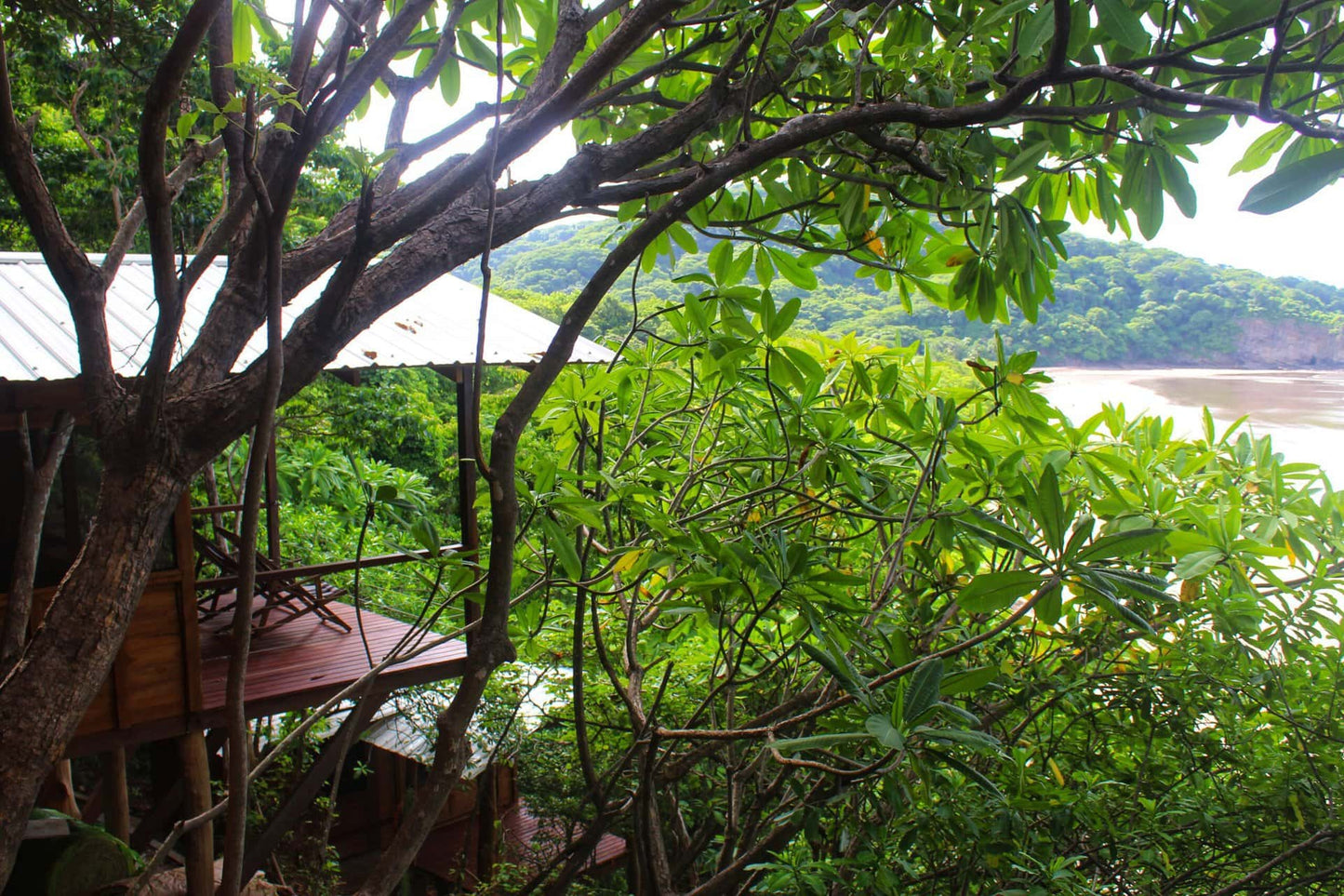 La Tortugita – Shared Cliffside Cabin for 2 with Ocean Views
