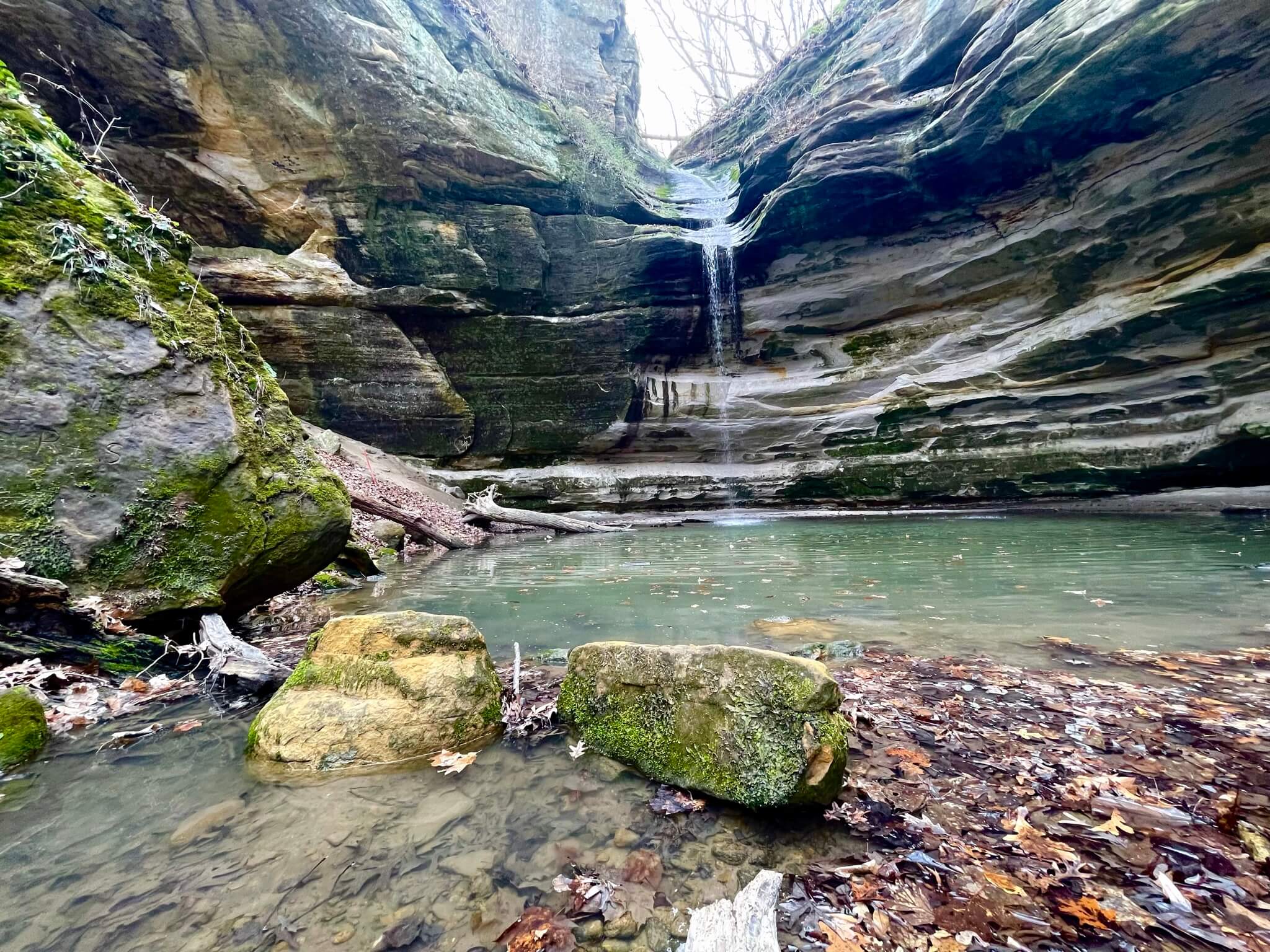 Starved Rock Retreat – C.A.Y.A. YOGA SCHOOL